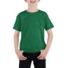 Boys Green 100% cotton T-shirt