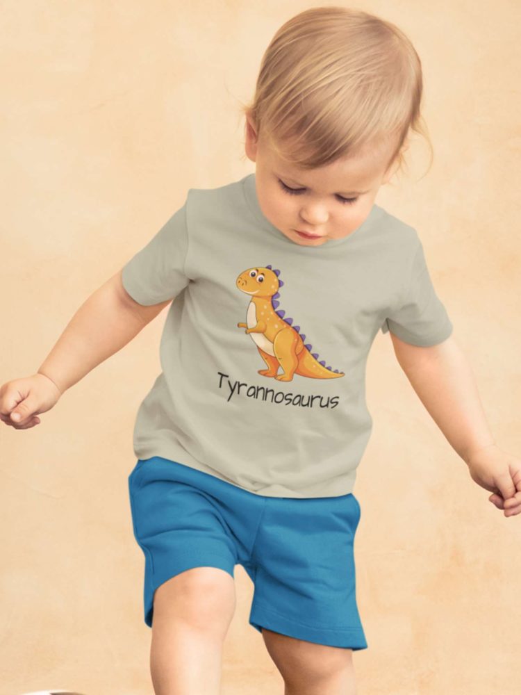Adorable little boy in a grey tyrannosaurus tshirt